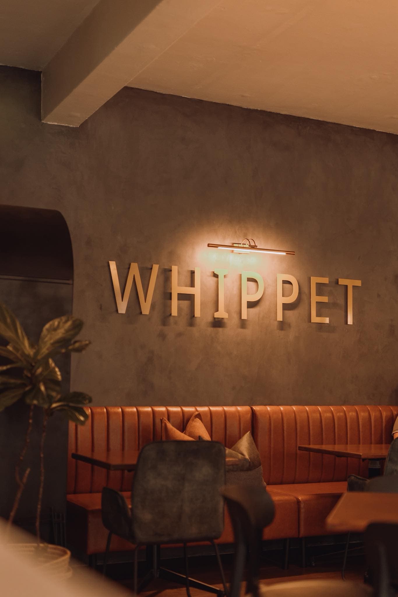 The Whippet in Linden