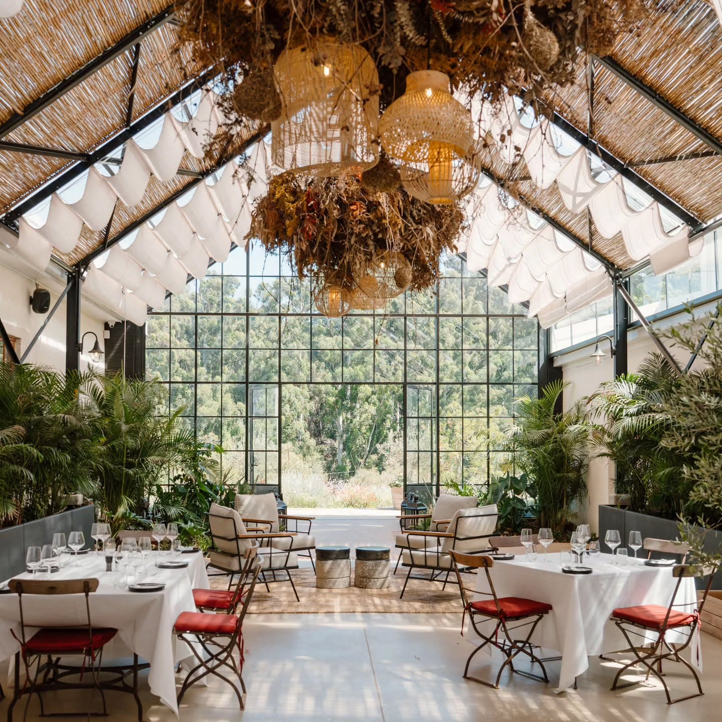 Klein Alto Wine Tasting & Restaurant