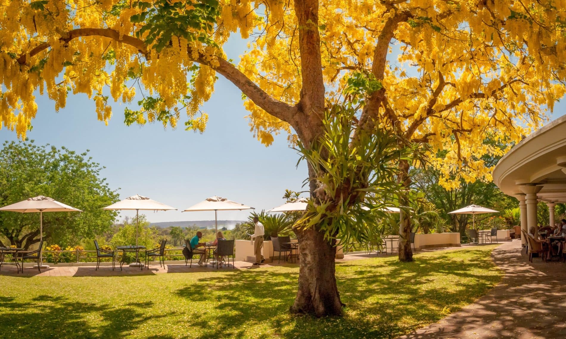 The Cassia Vic Falls
